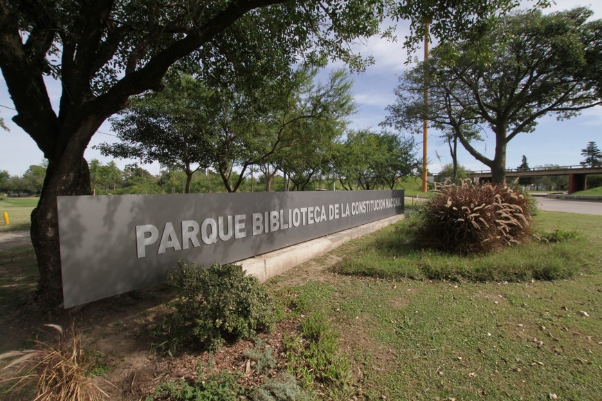 Flora y fauna: Una inmersión en la rica biología del Parque de la Constitución