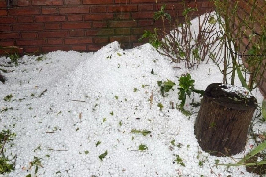 Santacroce indicó temprano que se registró “mucha agua y piedra, una violencia extrema del viento. Se caen los árboles, los arranca como si fuese un plantín".