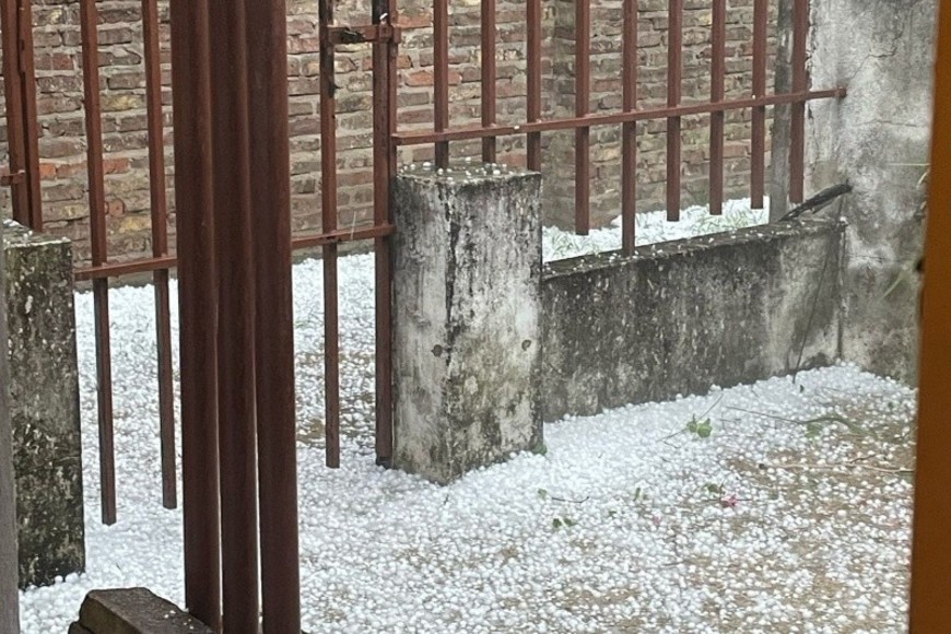 Santacroce indicó temprano que se registró “mucha agua y piedra, una violencia extrema del viento. Se caen los árboles, los arranca como si fuese un plantín".
