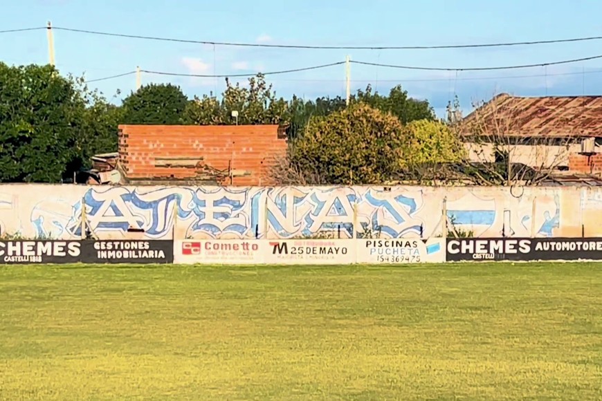 araña maciel santo toto