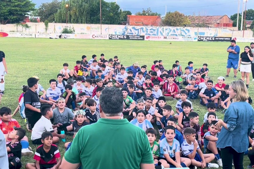 araña maciel santo toto