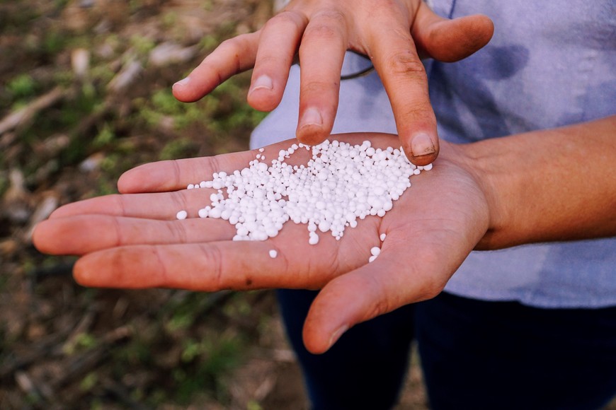 A handful of urea pellets is seen in Argentina in 2020.  Courtesy of Nutrien/Handout via REUTERS THIS IMAGE HAS BEEN SUPPLIED BY A THIRD PARTY. MANDATORY CREDIT. *** Local Caption *** Argentina Covid19 photos. 07122020
