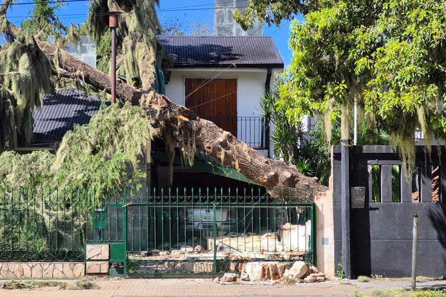 El fenómeno meteorológico provocó caída de techos, árboles y destrozos en vehículos.