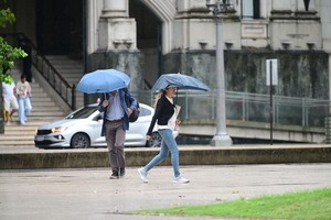 Imagen ilustrativa. Crédito: Flavio Raina