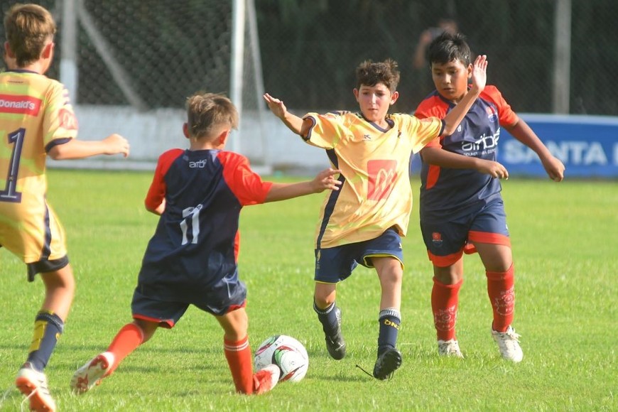 Crédito: Manuel Fabatia