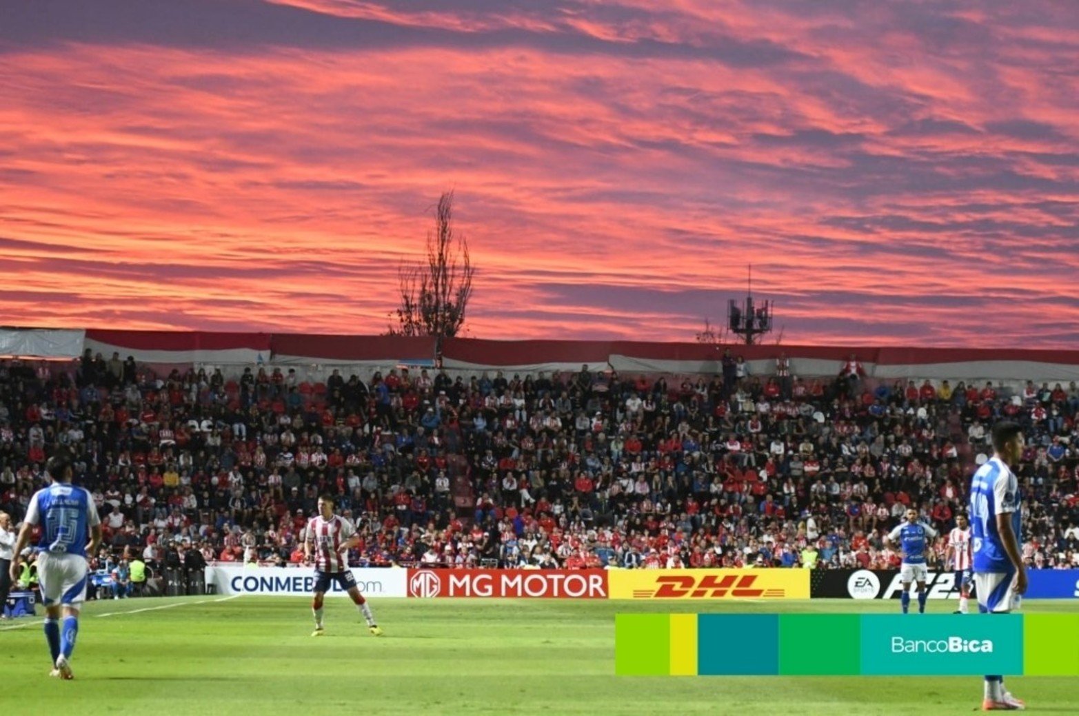 GALERÍA BICA: Unión - Cruzeiro