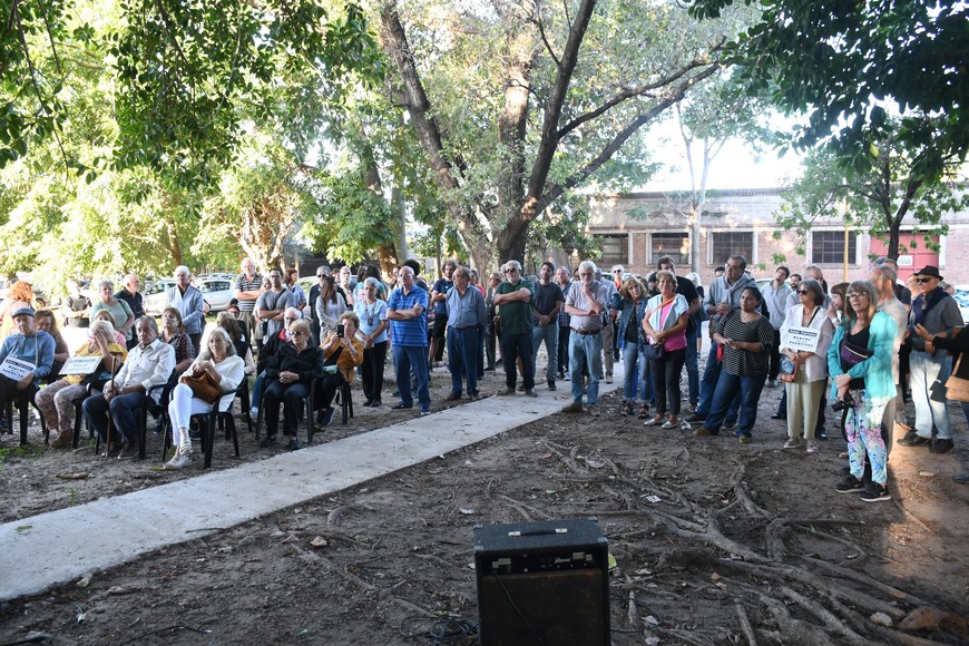 Desagravio a Bayer. Manuel Fabatía.