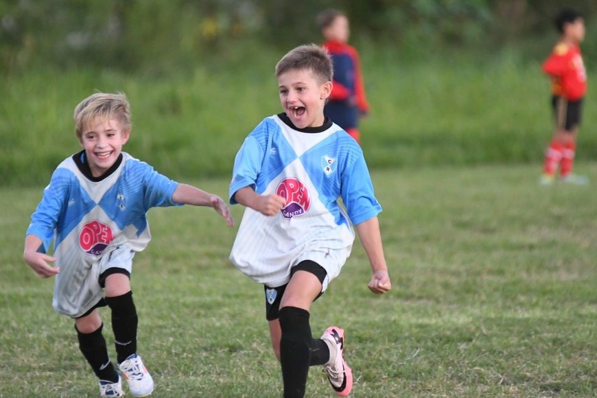 Crédito: Manuel Fabatia