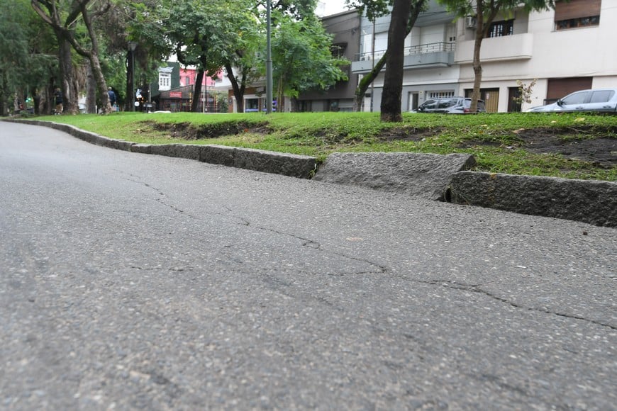 Así lucía hace un año. Crédito: Manuel Fabatía