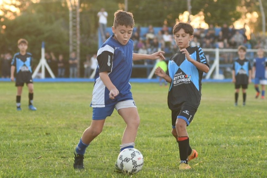 Crédito: Manuel Fabatia