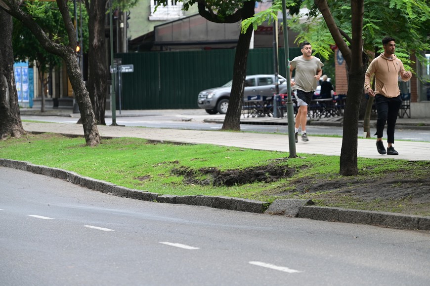 Imagen ilustrativa. Crédito: Flavio Raina