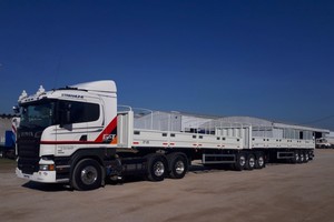 Gracias a su diseño innovador, estos vehículos pueden transportar mayores volúmenes de mercancías en menos viajes, lo que se traduce en una disminución significativa de la huella de carbono.