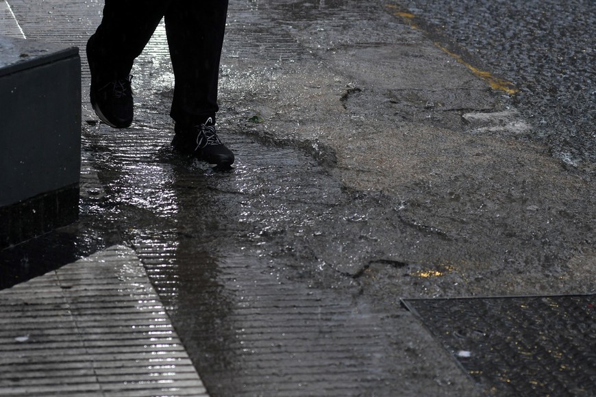 Imagen ilustrativa. Crédito: Guillermo Di Salvatore