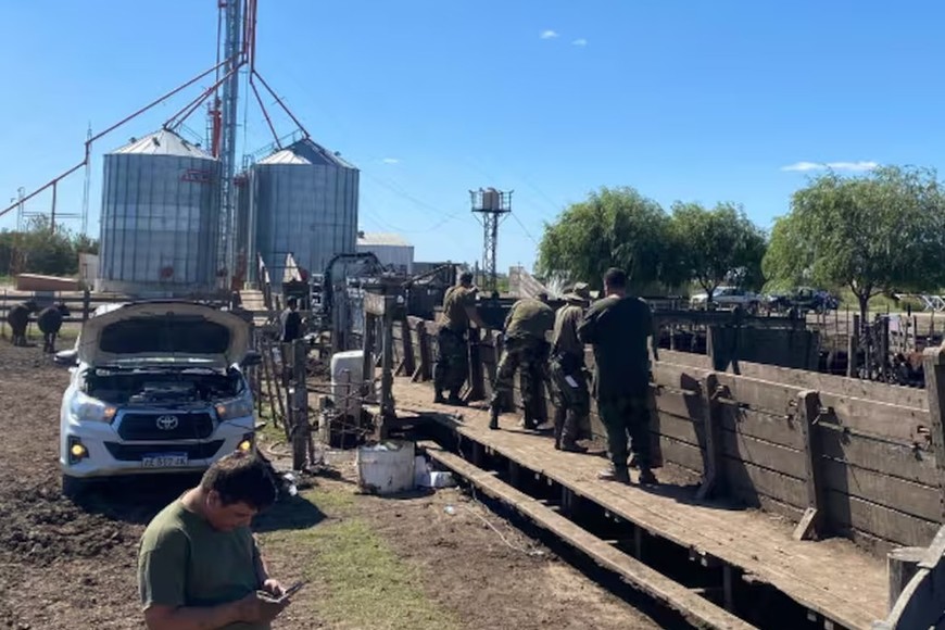 Efectivos de la Patrulla Rural de Olavarría durante el allanamiento en el feedlot santafesino. El operativo fue ordenado por la fiscalía de Azul en el marco de una causa por estafa millonaria.