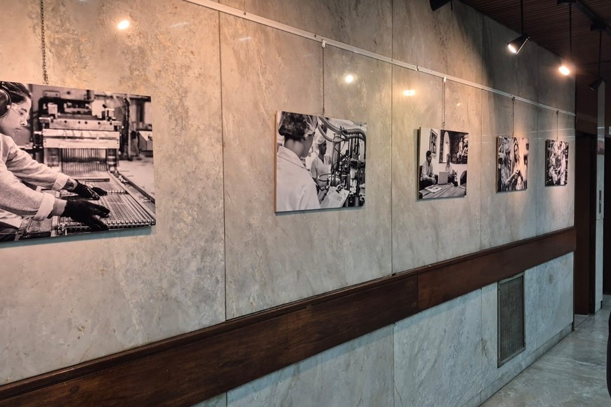 Crédito: Gentileza.