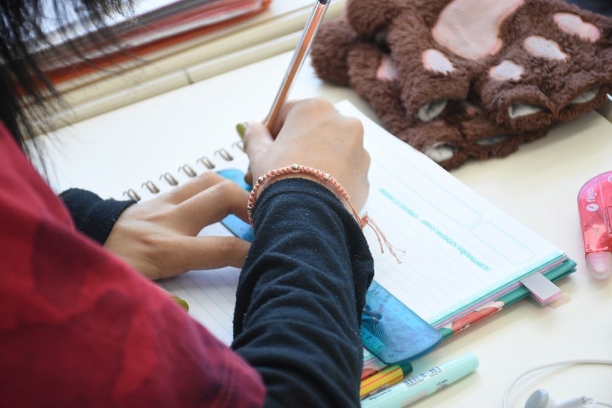 El Programa de Vouchers Educativos consiste en una asistencia económica mensual Crédito: Flavio Raina