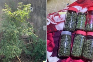 En una de las habitaciones había frascos de vidrio y cajas de cartón con marihuana.