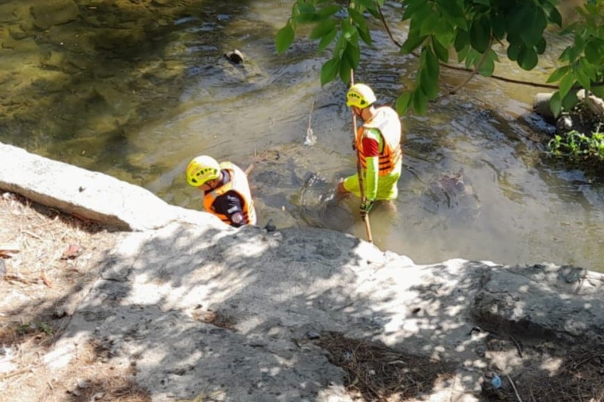 El hallazgo generó conmoción en Colombia y en Italia.