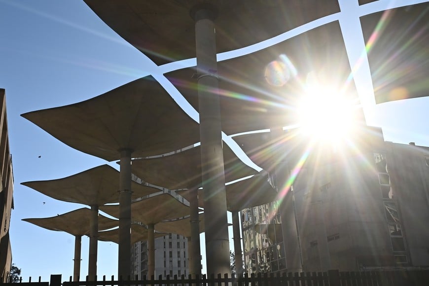 Imagen Ilustrativa. Crédito: Flavio Raina.