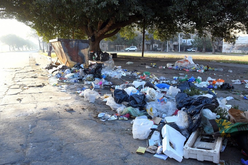 Cuando los residuos no se depositan correctamente y terminan en esquinas, zanjas o baldíos, el problema de la basura se multiplica. Crédito: Guillermo Di Salvatore