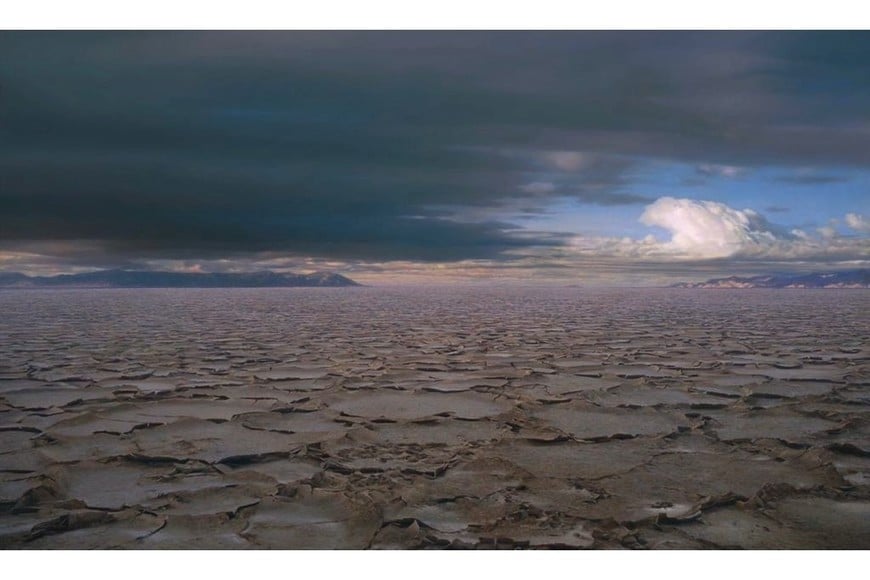 Helmut Ditsch, artista argentino más cotizado del mundo, ahora dedicado al cine