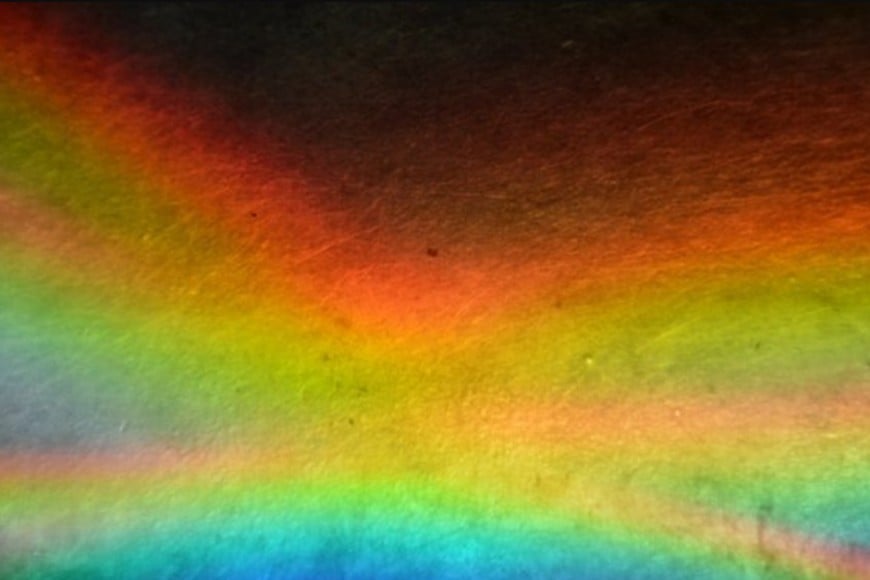 Olo solo fue visto por cinco personas.