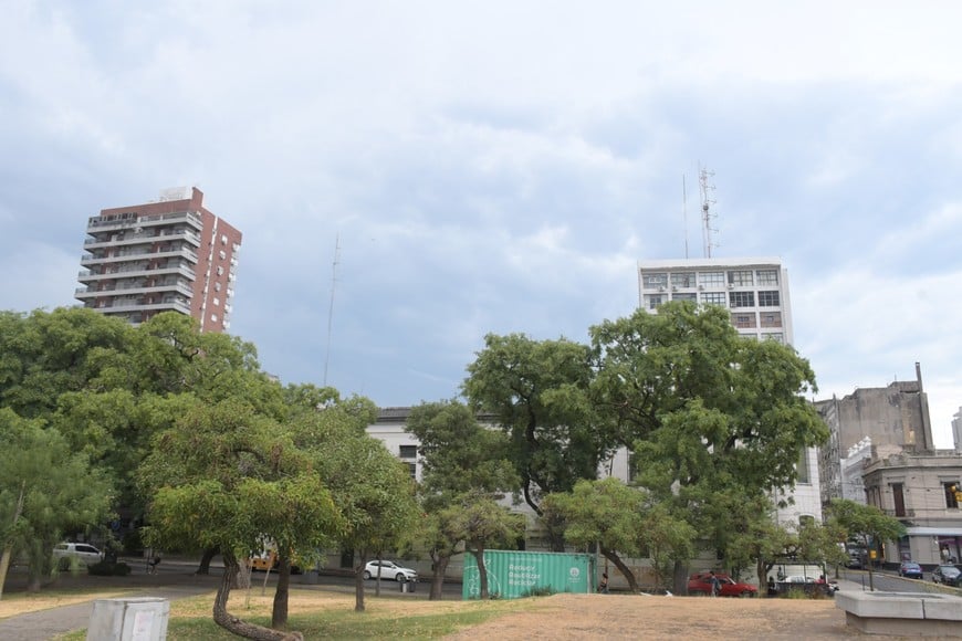 Imagen ilustrativa. Crédito: Luis Cetraro