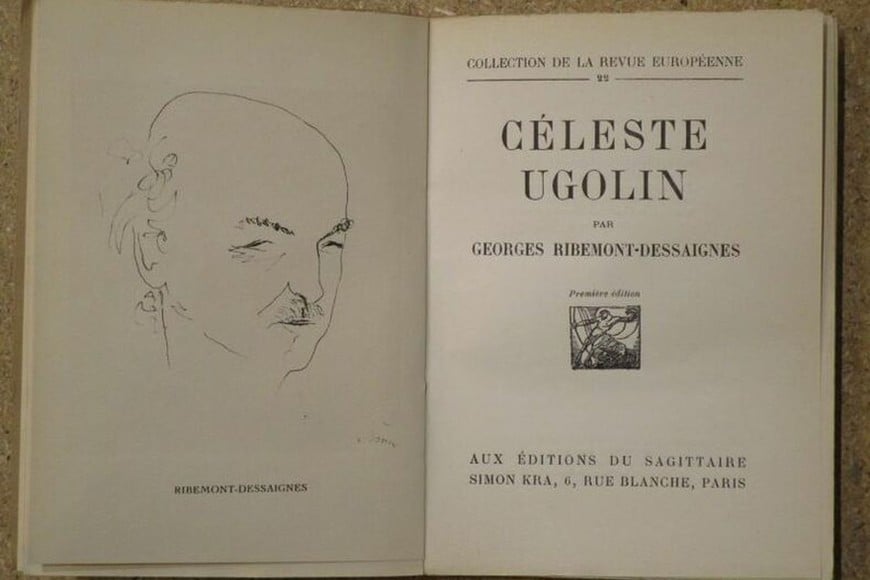 "Céleste Ugolin" se desarrolla en un Irán poderoso pero dividido, en el que un chofer del ejército, Behruz, regresa a casa. La novela explora temas como el destino de una huérfana, la violencia interior, la ironía y la parodia de la vida y el amor.