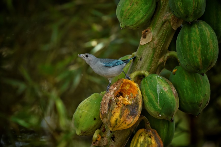 Fotorreportaje en Jaaukanigás. Pablo Rodas.