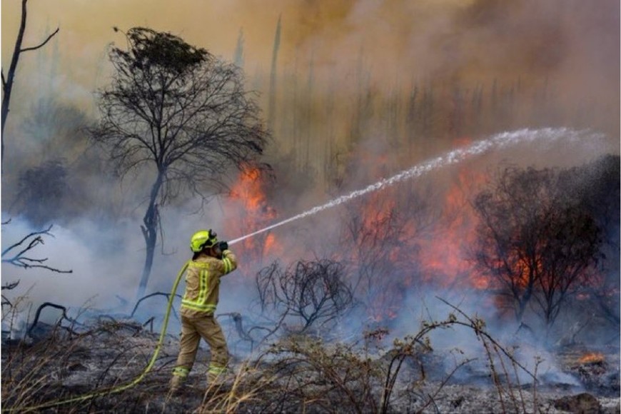 Crédito: @UKR_token