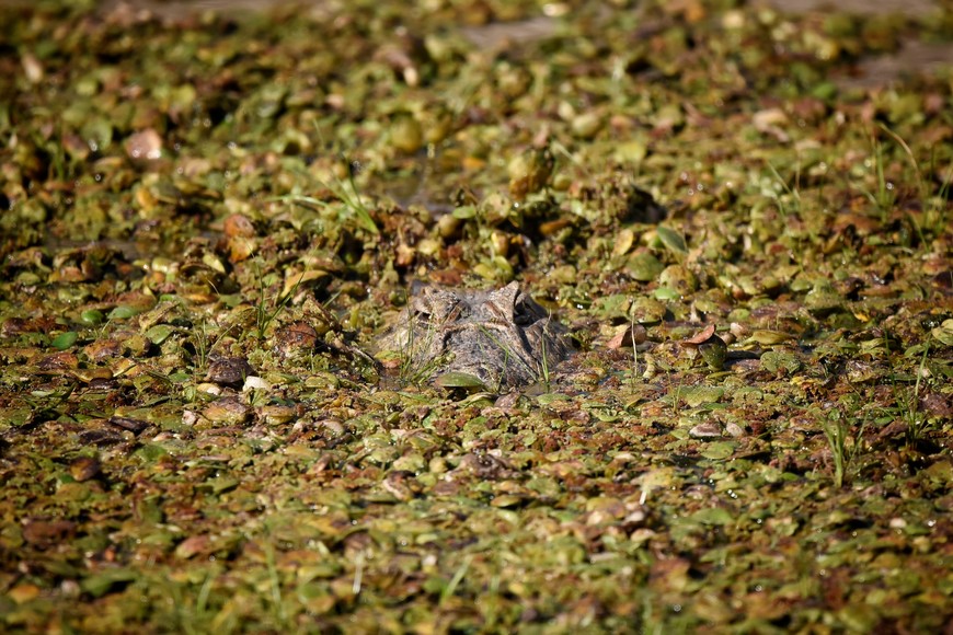 Fotorreportaje en Jaaukanigás. Pablo Rodas.