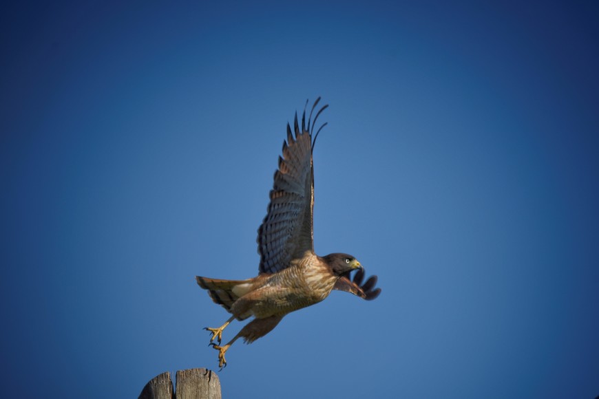 Fotorreportaje en Jaaukanigás. Pablo Rodas.