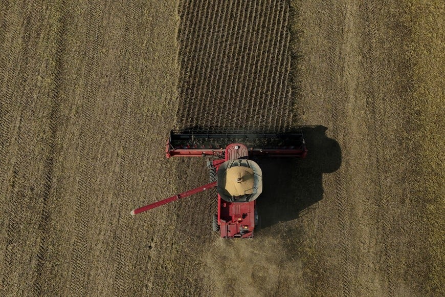 La confianza del agro sigue alta, aunque crece la cautela ante el escenario electoral