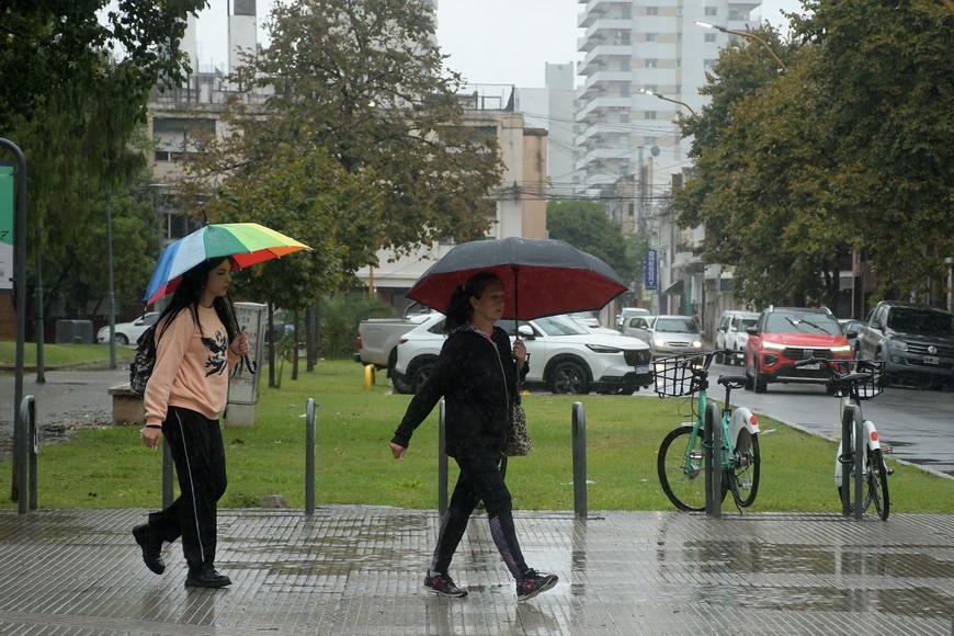 Imagen ilustrativa. Crédito: Guillermo Di Salvatore