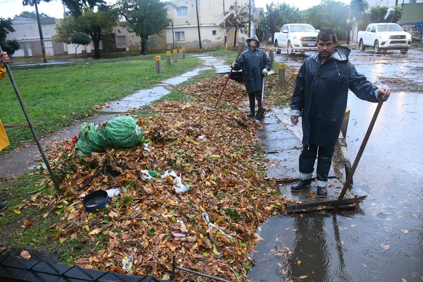 Guillermo Di Salvatore / Flavio Raina.