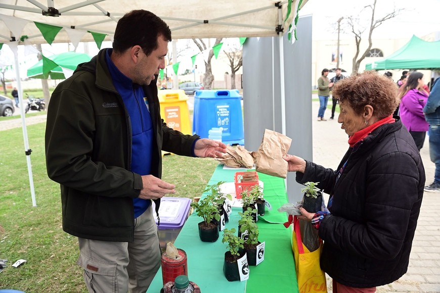 En el IMUSA se realizarán castraciones de mascotas.