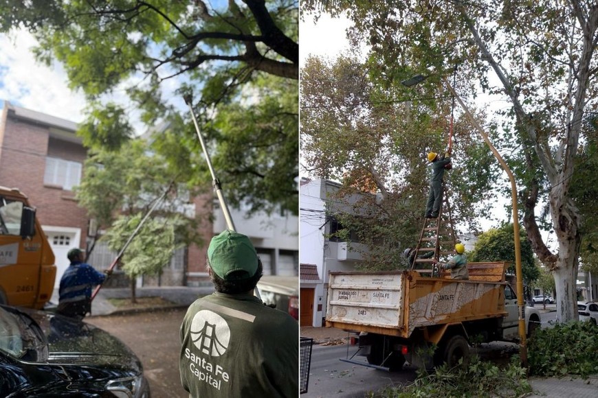 Los trabajos se harán en cuatro meses. Se comenzó en el barrio Candioti.