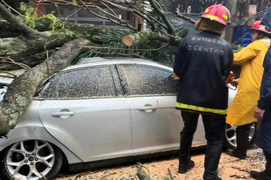 Foto: Policía de Misiones