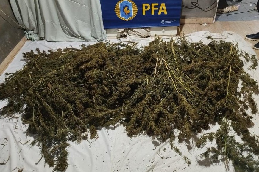 La causa está en manos del juez Falkenberg y la fiscal Urquiza.