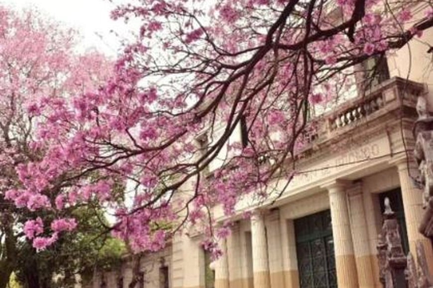 Escuela Secundaria Orientada N° 440 "Simón de Iriondo". Crédito: El Litoral