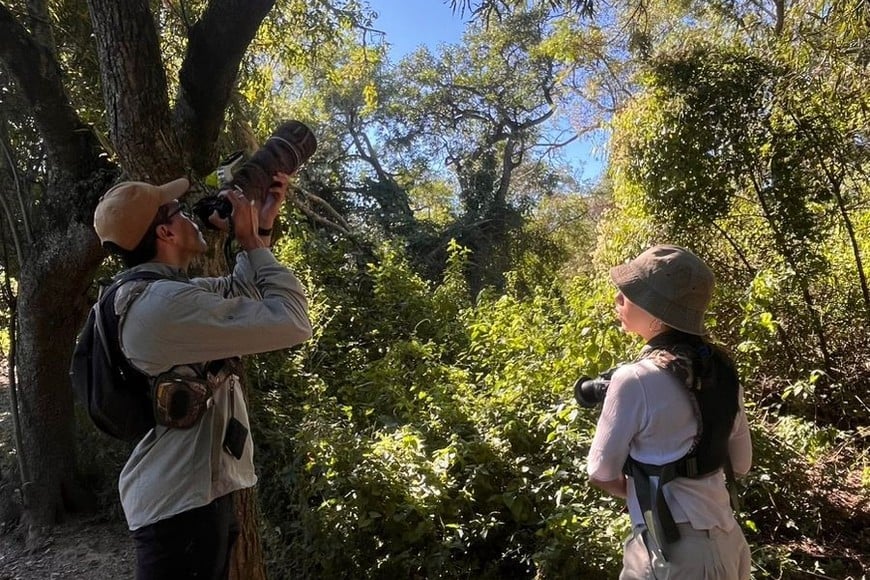 Crédito: Prensa Parque Islas de Santa Fe.