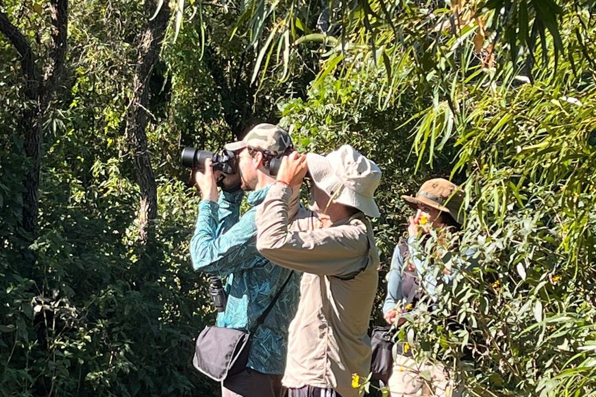 Crédito: Prensa Parque Islas de Santa Fe.