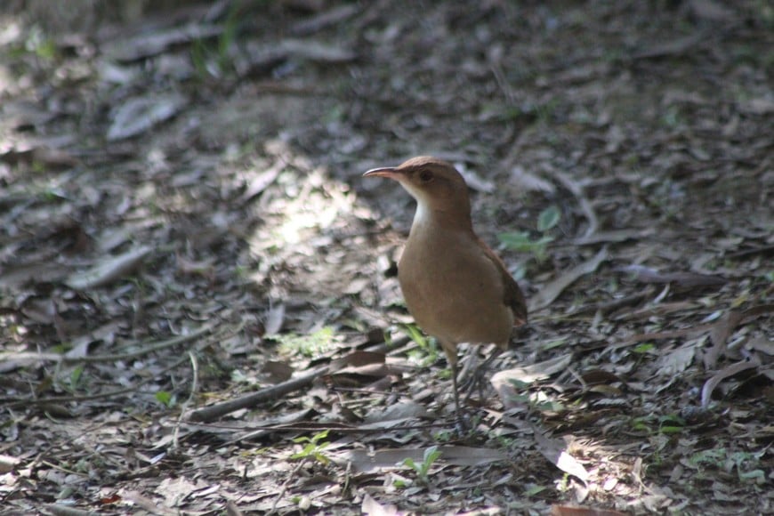 Crédito: Prensa Parque Islas de Santa Fe.