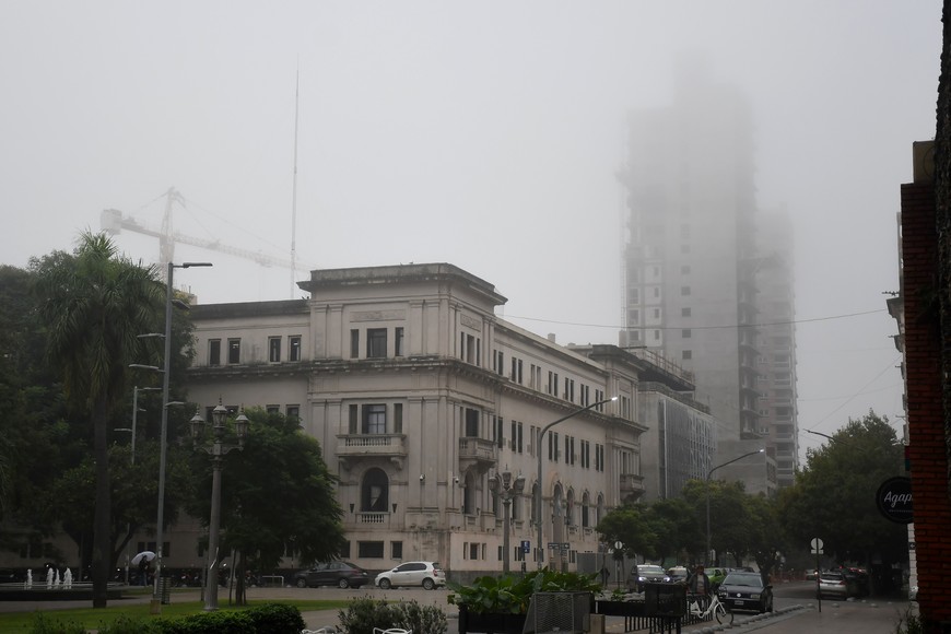 Imagen ilustrativa. Crédito: Guillermo Di Salvatore