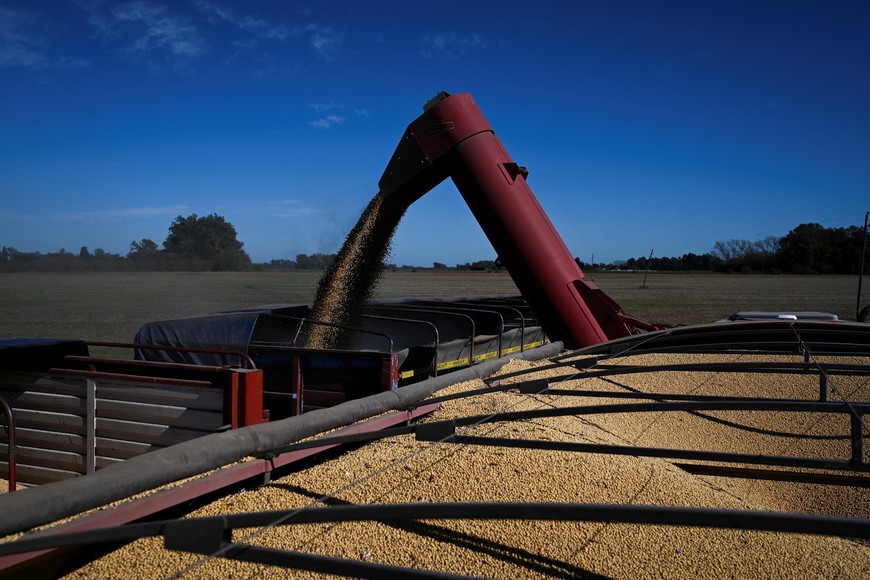 Soybeans are loaded on a truck after being harvested, in San Andres de Giles, on the outskirts of Buenos Aires, Argentina, May 12, 2025. REUTERS/Martin Cossarini