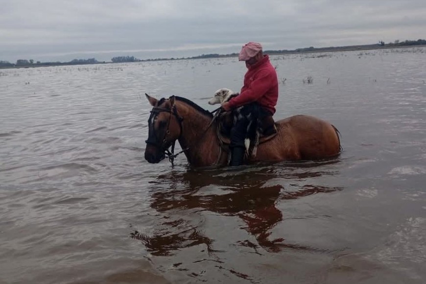 Cayeron más de 200 mm. en la localidad de Palemón Huergo. Crédito: Redes Sociales.