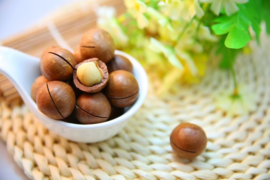 Las macadamias ayudan a rejuvenecer y mantener la vitalidad.