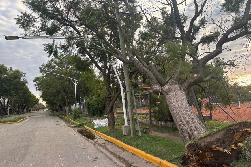 Foto DPM Eduardo Gomez