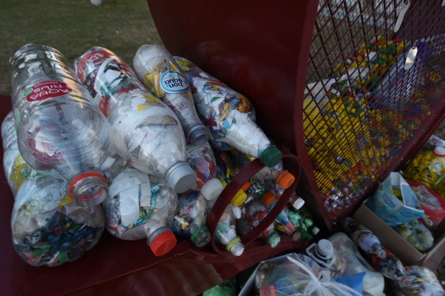 Semanalmente se publicarán, en la página web de la Municipalidad, los datos del pesaje. Crédito: Manuel Fabatía