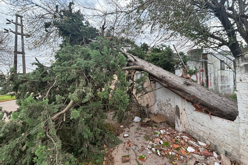 Foto DPM Eduardo Gomez